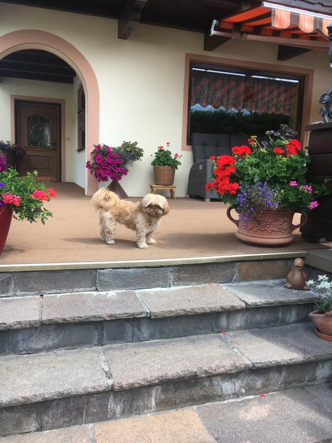 Hotel Bianca'S Bb Sölden Zewnętrze zdjęcie
